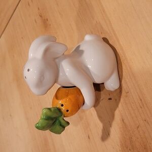 Novelty Easter Bunny & Carrot salt & pepper Shakers
